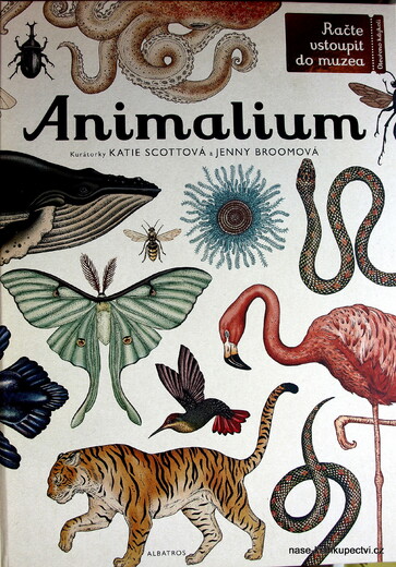 Animalium  - Jenny Broomová