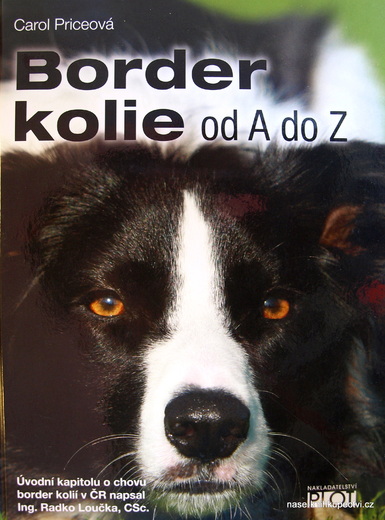 Border kolie