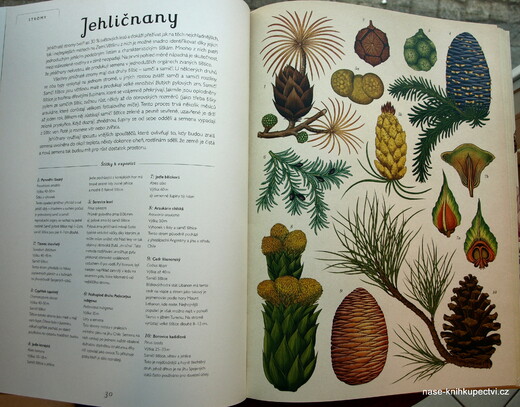 Botanicum 1