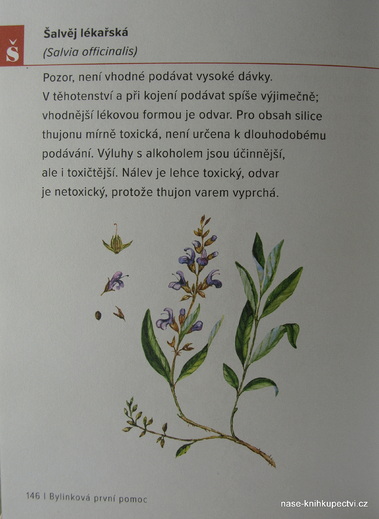 bylinková první pomoc uvnitř