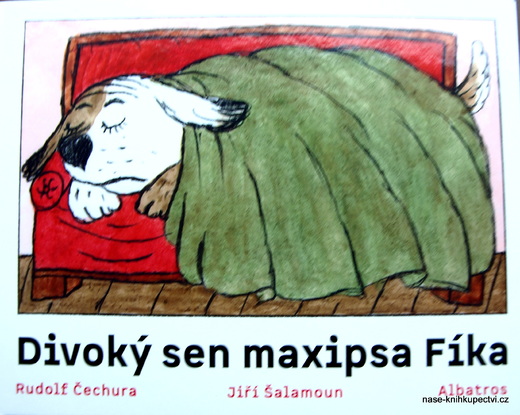 Divoký sen