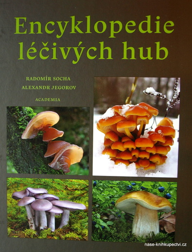 Ency léčivých hub