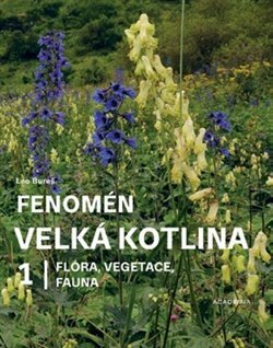 Fenomén velká kotlina