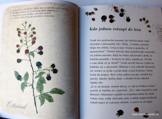 Jde sem 2