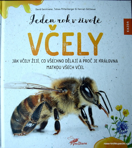 Jeden rok v životě včely