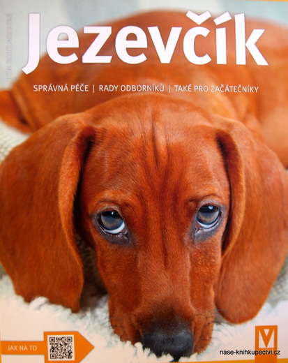 Jezevčík