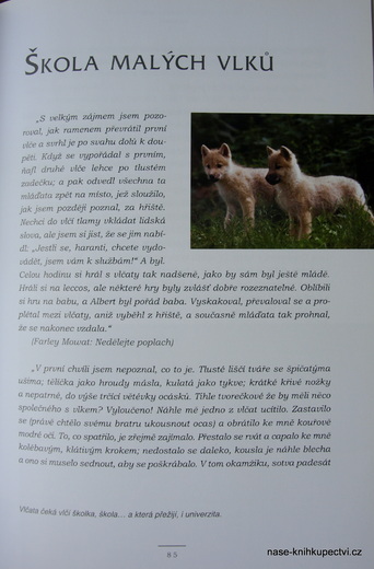 Krajina uvnitř 1