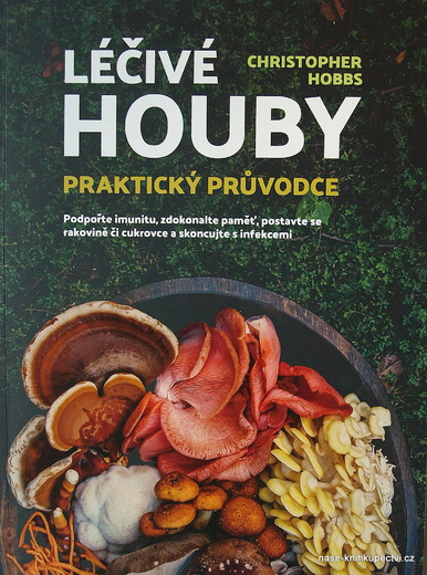 Léčivé houby