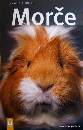 Morče