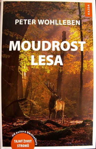 Moudrost lesa