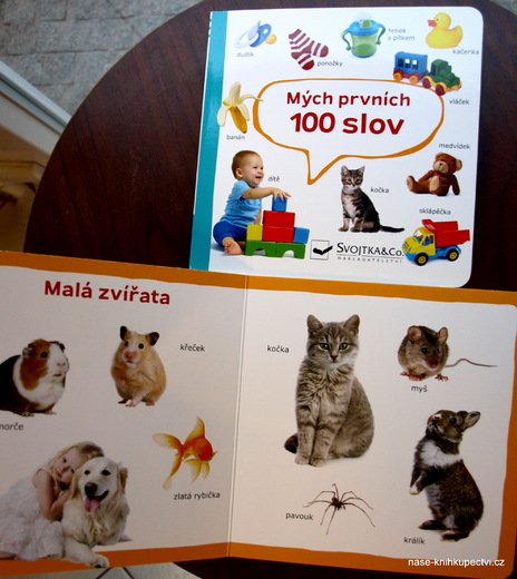 Mých prvních 100 slov