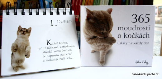O kočkách b