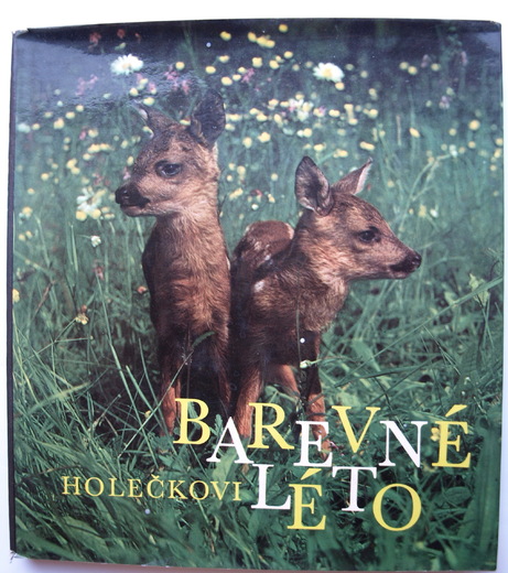 Barevné léto - Holečkovi, 1974