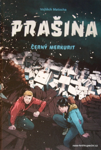 Prašina