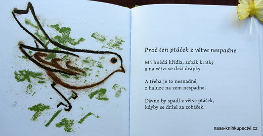 Proč ten ptáček