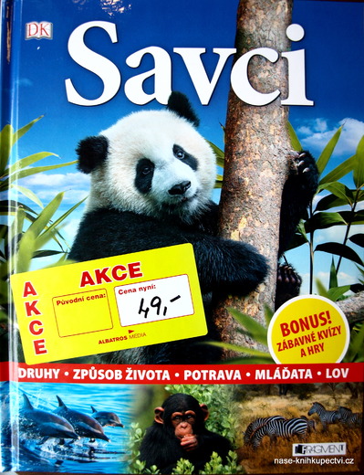 Savci