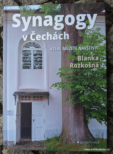 Synogogy