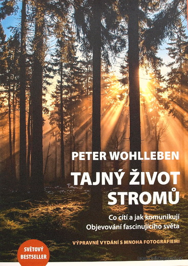 Tajný život stromů
