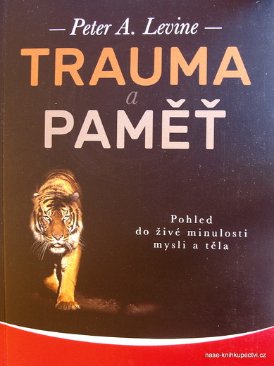 Trauma a paměť 2