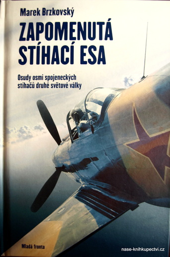 Zapomenutá stíhací esa Osudy osmi spojených stíhačů 2. světové