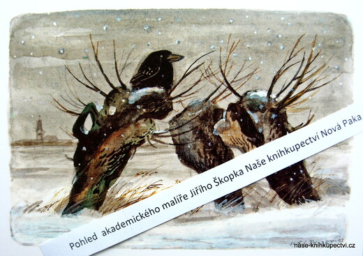 Pohlednice Vrána na vrbě (Josefov)