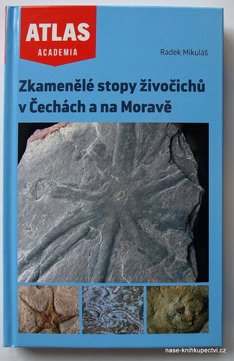 Zkamenělé stopy